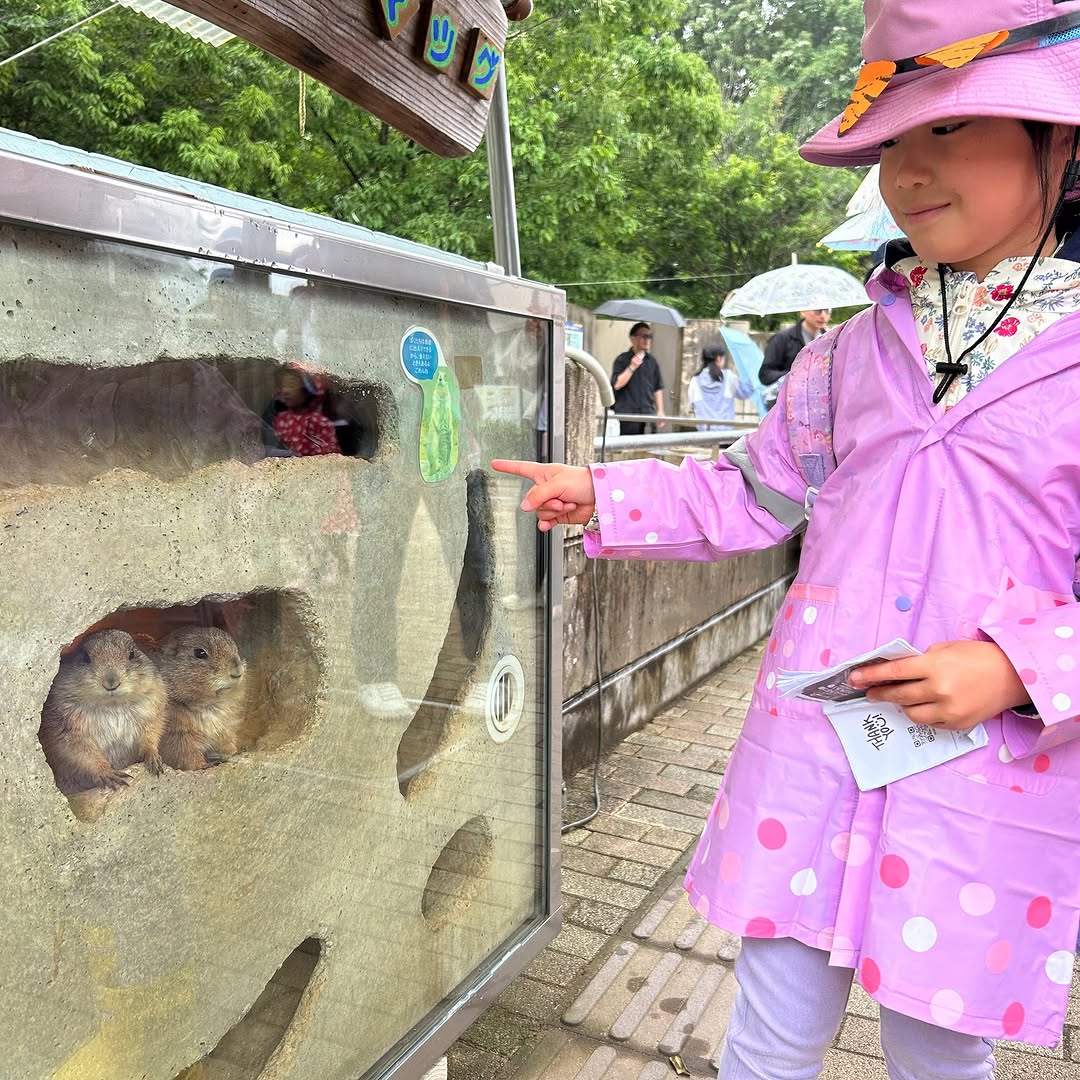 動物園遠足の様子